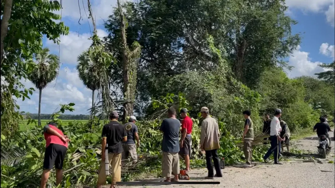 Kerja-Bakti Kerja Bakti Tim Ormawa